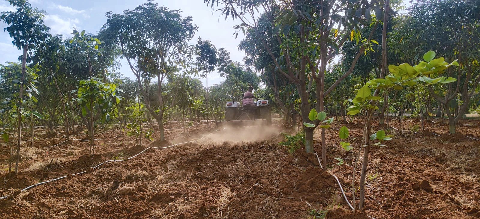 Preparing the soil